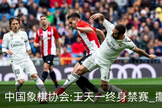 中国象棋协会:王天一终身禁赛 撤销特大等称号